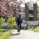 Man riding bike down path next to a blossom tree