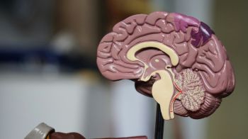 Unlocking autistic wellbeing